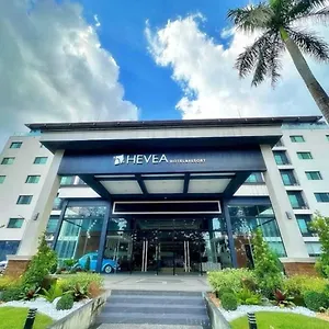 Sunday Hevea And Hotel Angeles